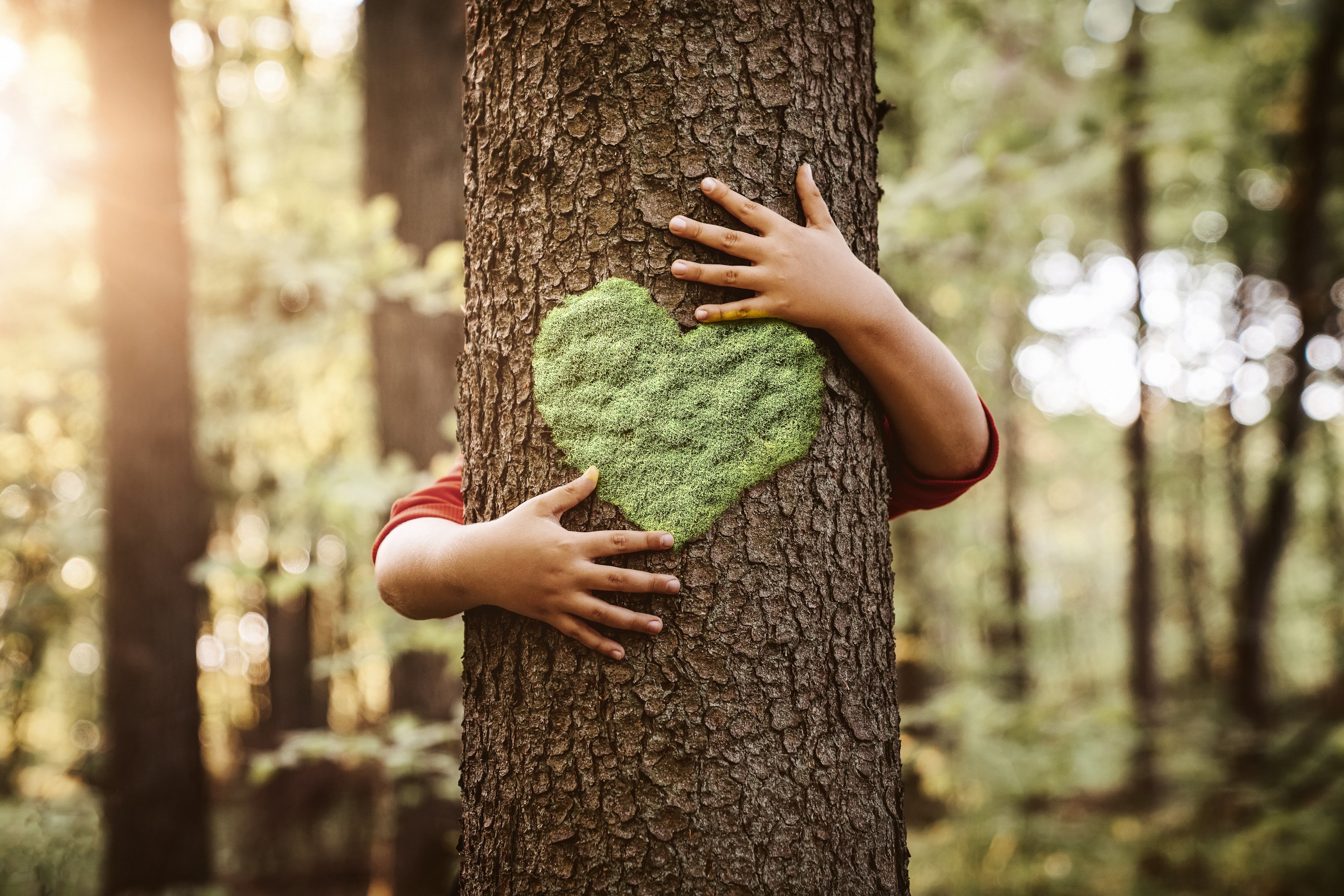 Image of little kid hugging a tree with a moss heart on it